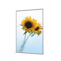 Insegna Luminosa LED Retroilluminata Personalizzata in Alluminio Ultra Sottile Impermeabile 37mm di Spessore per Poster e Banner 12V/24V Pubblicità CE