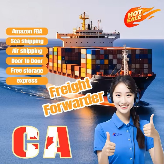 Quick Customs Clearance LCL Trucking Sea Freight DDP Door to Door USA Europe Service