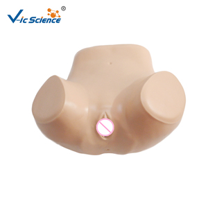 Medische Opleiding Gynaecologische Simulator Hot Sale Gynaecologische Training Simulator Medische Training Model Examen Model - Product Image 6