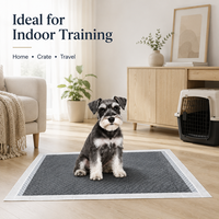 Almohadillas de Entrenamiento para Mascotas con Carbón de Bambú y Logotipo Personalizado, Impermeables y de Alta Absorbencia para Cachorros y Perros Pequeños