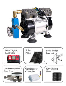 Compressore d'Aria Solare HCEM DC24V 150W Motore Senza Olio Pompa di Ossigeno Silenziosa 2 Bar Sistema di Aerazione Portatile Raffreddato ad Aria - Product Image 4