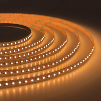 Lampu LED Strip Dual White 24V 2835 280 LED, CRI>94, 10W/m, 14.4W/m, 19.2W/m, Dapat Diatur dari Terang Menjadi Hangat, Untuk Pencahayaan Hotel, Rumah, Villa, Restoran