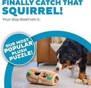 Il cane esteriore nasconde un giocattolo per cani di peluche Puzzle scoiattolo - Product Image 2
