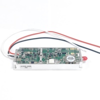 Amplificateurs de puissance RF personnalisables 100W 1900-2000MHz, module Lora GaN, module anti-drone, VCO intégré
