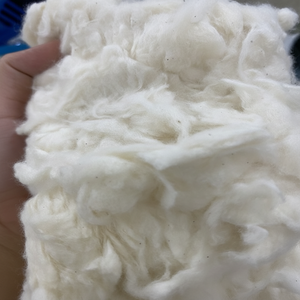 Alta calidad 2025 Peine Noil Blanqueado/Sin blanquear Algodón Blanco Excelentes Tasas Raw Pattern-Ms.Xavia + 84333371330 - Product Image 1