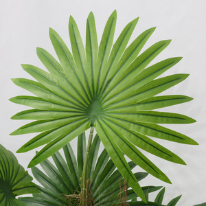 Pianta Artificiale di Palma a Ventaglio Multipolare Altamente Realistica per Decorazione Casa, Hotel e Giardino - Product Image 3