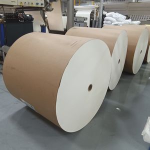 Papel Recubierto de PE de Grado Alimenticio, de Una o Dos Caras, para Vasos de Papel, Material en Rollo, Ecológico - Product Image 6