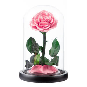 Boîte cadeau classique pour la Saint-Valentin, le Petit Prince, finition, boîte cadeau découpée, bouquet de roses préservées transfrontalier, dôme en verre, idée cadeau - Product Image 5