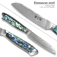 Moderne Schilmes 4Inch Damascus Stalen Keuken Fruitmes Met Abalone Shell Handvat Snijmes Voor Groentemes