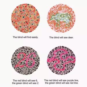 Lunettes de vue unisexes personnalisées avec logo, rouge et vert, pour correction de la Daltonisme, monture pliable, lunettes de soleil pour daltoniens rouge-vert avec étui - Product Image 5