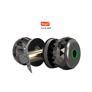 Aluminum Tuya App Control Smart <strong>Knob</strong> <strong>Door</strong> Lock with Biometric Fingerprint Cloud &amp; SDK Support for Wood <strong>Doors</strong> - Product Image 1