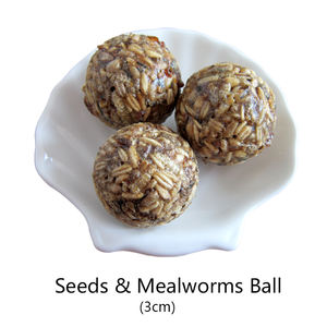 Comida de papagaio para roedores e aves, alta qualidade, mastigar, árvores - Product Image 5