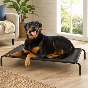Nouveauté 2026 : Lits <span class=keywords><strong>pour</strong></span> chiens de luxe modernes et écologiques, avec motif uni et housse amovible lavable, <span class=keywords><strong>pour</strong></span> grands chiens - Product Image 6
