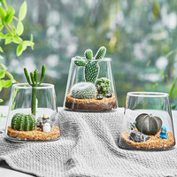 Pot en verre transparent avec design conique pour plantes succulentes, cactus, plantes aériennes, décoration intérieure