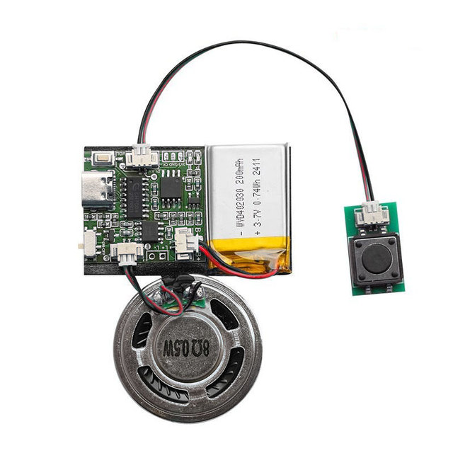 Professional Manufacturer Custom Mini Recordable Sound Voice Music Chip Recorder Module for Greeting Card Musical Toys Gift