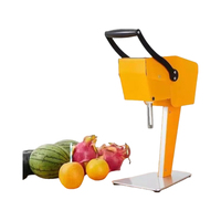 Elektrische commerciële automatische fruitsapcentrifuge voor sinaasappel, watermeloen, ananas en verse sappen.