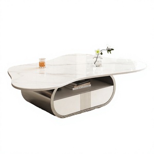 Modern Durable Eco-Friendly Butterfly <b>Coffee</b> <b>Table</b> Sintered Stone Top <b>Oval</b> <b>Storage</b>- Shelf Drawer Stainless Steel Home Furniture - Product Image 4
