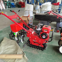 Mini-motoculteur diesel agricole, mini-tracteur à chenilles portatif, prix