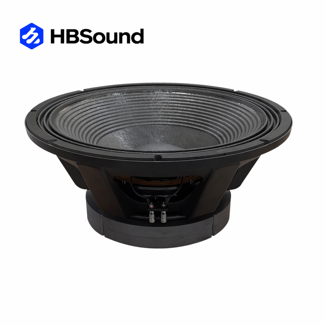 21 Inch 6000W Program Power Subwoofer Speaker Box System with 35-500Hz Frequency Range for Professional Live Events