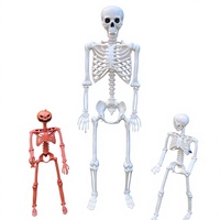 Nouveau squelette humain articulé 2026 pour Halloween, peut tenir debout