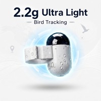 Bague d'identification d'oiseaux sans outil avec GPS, traceur GPS à fermeture à une vis et étanchéité IP67 pour les propriétaires d'oiseaux de course