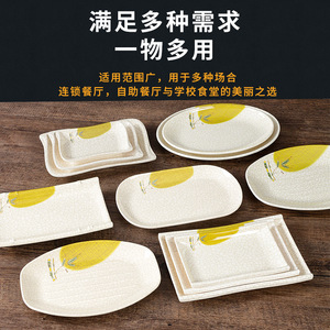 จานเมลามีนคาโบยา รูปวงรี เลียนแบบเซรามิก สำหรับใช้ในโรงแรมและร้านอาหาร - Product Image 5