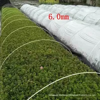 OEM Klantspecifieke 6mm Pultruded Glasvezel Massieve Staaf FRP Plantensteunen met Geslepen Uiteinden UV-bestendig Kasbogen