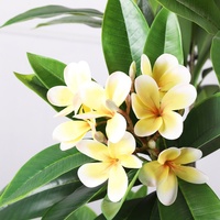 Arbre de frangipanier en plastique haut de gamme, 1,2 m - 1,5 m, fleurs imposantes, pour aménagement paysager de cour, plantes en pot, décoration, arrangement, écologique