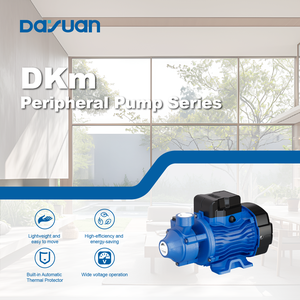 DAYUAN ad alta pressione 0.16hp 0.125kw 1 pollice 220V 50HZ pompa dell'acqua elettrica periferica a bassa pressione pompa dell'acqua pulita di superficie - Product Image 5