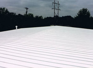 Presale White King Kong cairan lapisan berbasis air Dinding awal burung diskon pemesanan di muka manfaat promosi musiman peluncuran - Product Image 6