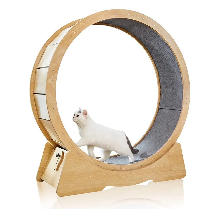 BunnyHi PBJ070 interactif chat jouet chat exercice roue de course intérieur chat tapis roulant pour le Fitness et la santé