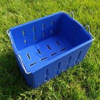 Bacs de récolte en plastique ondulé pour la conservation des fruits Cherry Orchard Corflute