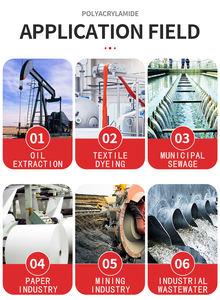 최저가 구매 전문 제조 PAM 정수 처리 폴리머 화학물질 음이온 폴리아크릴아미드 APAM 분말 - Product Image 2