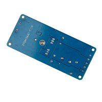 Carte d'amplificateur de puissance numérique HIFI Power IRS2092 500W Mono Channel carte d'amplificateur de puissance d'étape de classe D