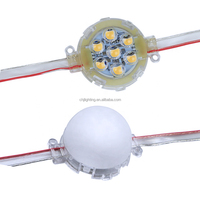 Éclairage de Noël Amusant, Étanche IP67, Lumière LED à Pixels DC24V pour Aménagement Paysager Permanent