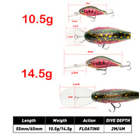 WildTrek Leurre Crankbait Flottant Plongeant Profond 55mm/65mm 10.5g/14.5g 2m/4m à Longue Lame avec Hameçons Triples 4X pour Eau Douce et Saumon