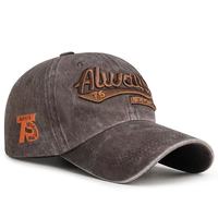 Gorra de Béisbol con Letras 3D Bordadas y Patrón de Hojas para Hombre y Mujer, Estilo Americano Lavado, Moda Urbana