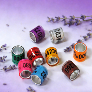 2026 Vogelringen Multicolor Duivenraces Beenringen met Woord Oorbellen Plastic Herbruikbaar Alle Seizoenen - Product Image 1