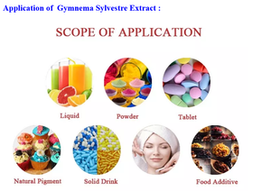 Pó de Suco de Açaí Congelado/Pulpa de Açaí/Pó de Extrato Seco de Açaí - Product Image 5