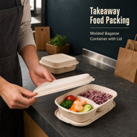 Suikerrietbagasse afhaallocaties met deksels, ovale gedeelde lunchboxen 500ml 700ml 1000ml voor warme maaltijdbezorging