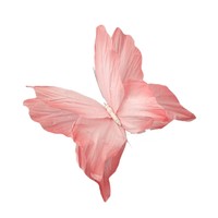 Arche en papier élégante en forme de papillon géant pour événements, fêtes, mariages, présentations en extérieur, cérémonies, livraison rapide
