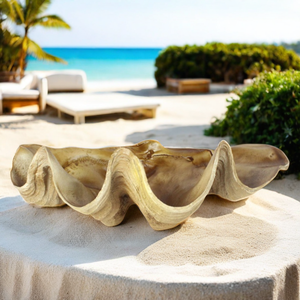 Vườn Khổng Lồ Làm Bằng Tay Nhựa Vỏ Sò Bức Tượng Nghệ Thuật Thiên Nhiên Vỏ Biển Trồng Trang Trí Nội Thất Sedex/Bsci Chứng Nhận Trang Trí Nội Thất - Product Image 1