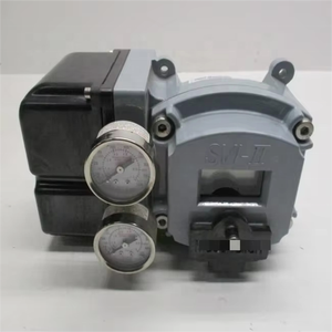 วัสดุ SVI-II SS316 ของแท้ ผลิตตามสั่งแบบดิจิทัล SVI2-21123121 - Product Image 2