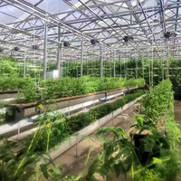 Système de culture hydroponique NFT commercial à 10 niveaux avec canaux de drainage intégrés pour serres agricoles
