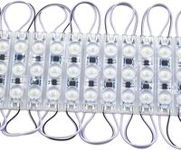 Módulos LED AC110V 220V SMD 2835 72*16MM 3 Leds IP65 Módulo de Inyección LED de Color Blanco/Verde/Azul/Morado/Rojo/Rosa