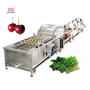 Gelgoog Rambutan Jackfruit Kiwi meyve sebze temizleme makinesi sıralama ve paketleme hattı yıkama hava kurutma ve meyveler için ağda hattı - Product Image 4