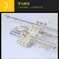 Brass Silver Plated Body Trumpet
