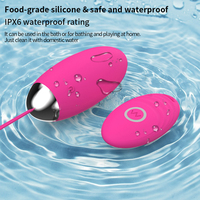 Meistverkaufter Ferngesteuerter Vibrator Weiblicher Massagestab USB Aufladbar 10 Geschwindigkeiten Tragbar Wasserdicht Geräuscharm Sexspielzeug