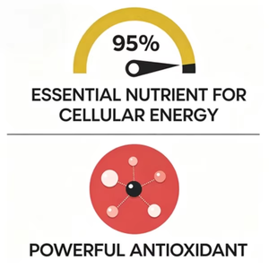 Suplemento Premium de Ubiquinol CoQ10 100mg, Promueve la Absorción, Fórmula Patentada Soluble en Agua y Grasa - Product Image 2