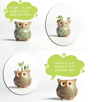 5 pièces/ensemble extérieur maison jardin décoration en céramique hibou forme jardin Pot de fleur bureau plante Pot Design créatif succulent planteur Pot